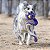 Brinquedo Pelúcia para Cães Cobra de Mola Roxo 100cm - Petta - Imagem 5
