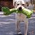 Brinquedo Pelúcia para Cães Crocodilo de Pescoço Longo Qmonster - Petta - Imagem 5
