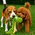 Brinquedo Pelúcia para Cães Crocodilo de Pescoço Longo Qmonster - Petta - Imagem 6