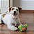 Brinquedo Pelúcia c/ Bolinha para Cães Monstro Baby Qmonster P Verde - Petta - Imagem 3