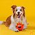 Brinquedo Pelúcia Interativo para Cães Little João Bobo Little Monster Qmonster Laranja - Petta - Imagem 2