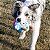 Brinquedo Pelúcia Interativo para Cães Little João Bobo Little Monster Qmonster Azul - Petta - Imagem 2