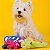 Brinquedo Pelúcia para Cães Festa Peluda Qmonster Coelho - Petta - Imagem 3