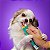 Petisco Natural Stick para Cães Frango & Legumes 1 Pacote (5 unid 75g) - Coolors - Imagem 3