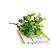 Plantas Eucalipto Artificial Floral Folhagem P/ Decoração Casamento, Arranjo Bem Cheio - Imagem 1