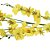 Haste Orquidea Chuva De Ouro Para Montagem De Arranjos - Imagem 2