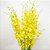Haste Orquidea Chuva De Ouro Para Montagem De Arranjos - Imagem 3