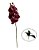 1 Orquidea Artificial Silicone 3d Haste Toque Real + Folha de Brinde - Imagem 2