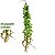 Pendente Plantas Artificiais Decorativas Samambaia Decoração - Imagem 3