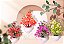 Kit Com 4 Vasos De Flores Artificiais Decorativas 10 Cm - Imagem 2