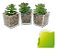 Trio De Suculentas C/ Vaso De Vidro Decoração Home & Living - Imagem 1
