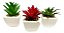 Kit 3 Mini Suculentas Plantas Artificiais Vaso De Ceramica Decoração Videira - Imagem 1