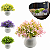 Kit 4 Arranjos Plantas Artificiais com Vasinhos Decorativos Decoração P Ambientes - Imagem 1