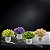 Kit 4 Arranjos Plantas Artificiais com Vasinhos Decorativos Decoração P Ambientes - Imagem 4