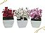 3 Mini Vasinhos Cerejeira Plantas Artificiais Decorativas - Imagem 1