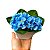 20 Arranjos Hortênsia c/ Vaso Decorativo Com Flores Artificiais Para Decoração de Sala, Quarto, Banheiro - Imagem 5