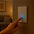 Interruptor Inteligente 2 Botões Wi-fi Alexa Google App 16a (COMPONENTE) - Imagem 5