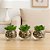 Trio Suculentas Artificiais Vaso Vidro C/ Pedras Decorativas - Imagem 3