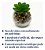 Trio Suculentas Artificiais Vaso Vidro C/ Pedras Decorativas - Imagem 5