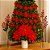 Kit 4 Peças Natal Azevinho Poinsettia Pendente P/ Árvore Nfe - Imagem 6