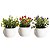 Kit Vasos Decorativos Vasinhos Com Plantas Artificiais - Imagem 4