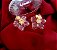 Brinco Flor de Cristal Banhado a Ouro 18k - Imagem 1
