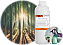 Essência Bamboo Ultra para fabricar desinfetante (Bambu Broto) - Imagem 1