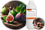 Essência Flor de Figo Ultra para Velas & Difusores de Varetas & Aroma Spray & Sabonetes & Cosméticos - Imagem 1
