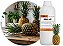 AIN Abacaxi Plus - Aroma Idêntico ao Natural líquido - Imagem 2