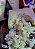 Queijo Quincas Terroir 300g - Fazenda Generosa - Imagem 4