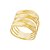 Anel Folhas Ouro 18k - Imagem 1