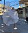 FLAGS ORGANZA CRISTAL par sem led - Imagem 2