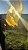 FLAGS ORGANZA AMARELO DOURADO COM LED - Imagem 2