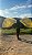 FLAGS ORGANZA AMARELO DOURADO COM LED - Imagem 3