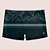 Sunga Modelo Boxer Adulta Masculina Mash Estampa Folhagem - Imagem 4