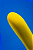 CLITS Bullet | Vibrador - Imagem 9
