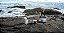 Drone DJI Lito X1 Fly More Combo Plus (Com tela) BR - Imagem 1