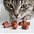 Catnip + Caranguejo 50g – Petisco Natural com Catnip para Gatos - Imagem 3