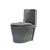 Louça Sanitária Ravena - Gray - Imagem 2