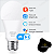 Lâmpada LED Inteligente RGB Colorida 9W+3W Ekaza Alexa E-27 - Imagem 9