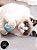 Bola Inteligente Giratória Interativa para Gato Azul USB - Imagem 5