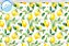 SARJA DIGITAL IMPERMEÁVEL 100% ALGODÃO ESTAMPADA LIMÃO 0,50cm X 1,70m | SDI07S01 - Imagem 1