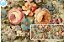 SARJA DIGITAL 100% ALGODÃO ESTAMPADA VINTAGE FLORAL HIDRORREPELENTE 0,50cm X 1,70m | 93666S01 - Imagem 1
