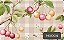 TRICOLINE DIGITAL 100% ALGODÃO FRUTAS FUNDO XADREZ 0,50cm x 1,50m | 94020C01 - Imagem 1