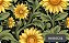 TECIDO TRICOLINE DIGITAL 100% ALGODÃO ESTAMPADO GIRASSOL 0,50cm X 1,50m | 94050C01 - Imagem 1