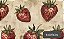 TRICOLINE DIGITAL 100% ALGODÃO ESTAMPADA VINTAGE FRUTAS 0,50cm x 1,50m | 94028C01 - Imagem 1