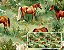 TRICOLINE DIGITAL 100% ALGODÃO ESTAMPADA CAMPESTRE CAVALOS 0,50cm X 1,50m | 94153C01 - Imagem 1