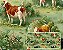 TRICOLINE DIGITAL 100% ALGODÃO ESTAMPADA CAMPESTRE VACAS 0,50cm X 1,50m | 94154C01 - Imagem 1