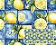 TECIDO TRICOLINE DIGITAL 100% ALGODÃO ESTAMPADO LIMÃO PETCHWORK 0,50cm X 1,50m | 94255C01 - Imagem 1