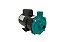 Motobomba Centrífuga Standard ECS-33ME 1/3CV 60Hz Bivolt Eletroplas - Imagem 1